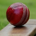 Everything You Need to Know About Cricket Betting
